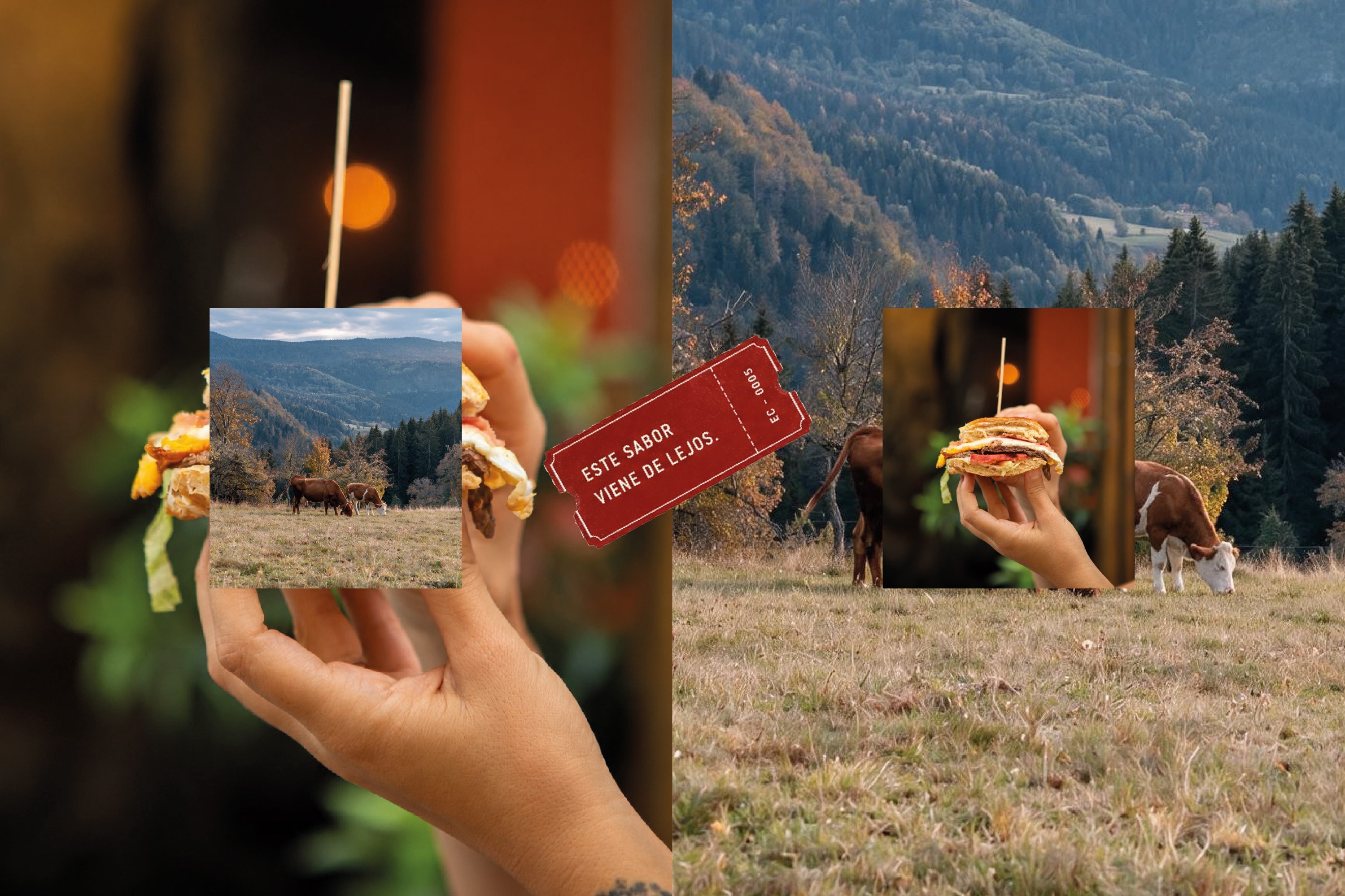 Collage: una postal de comida sostenida frente al paisaje