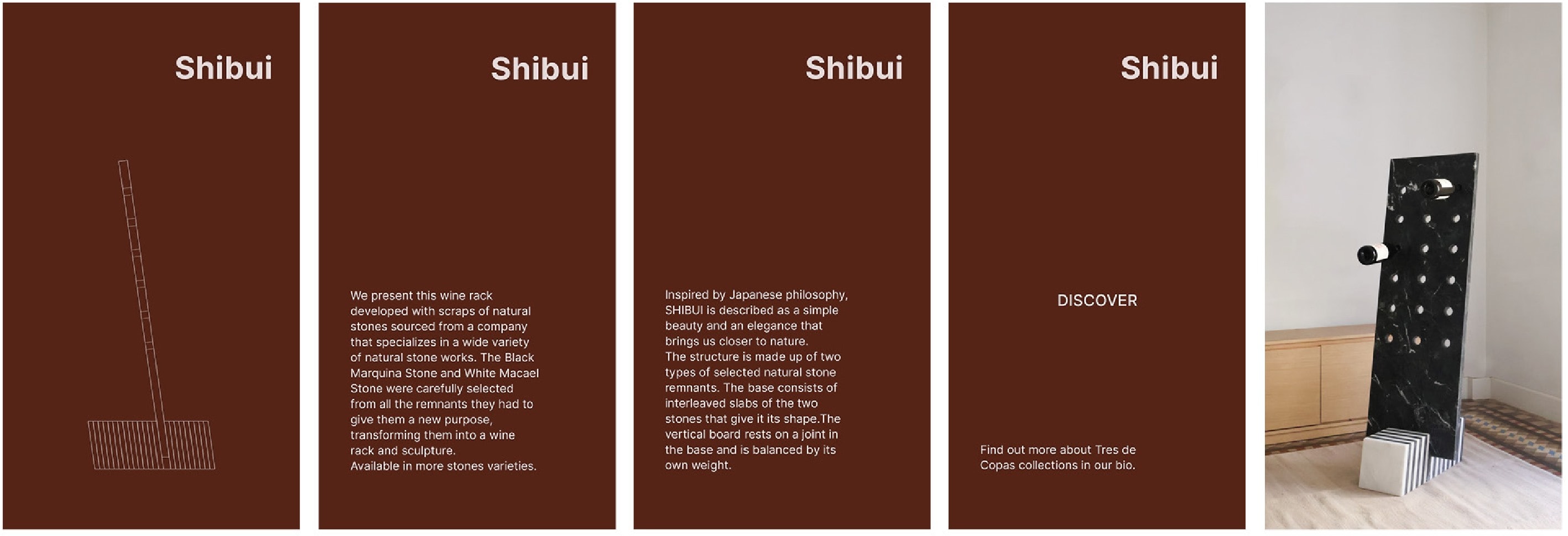 Carrusel de redes sociales del modelo Shibui
