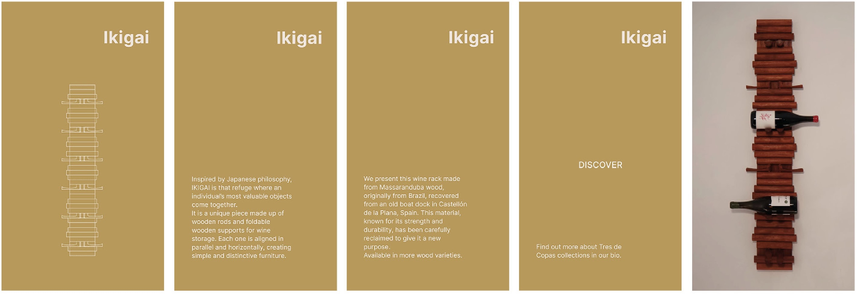 Carrusel de redes sociales del modelo Ikigai