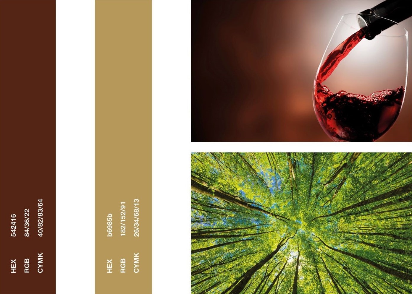 Paleta de color: el vino y el verde de la materia prima